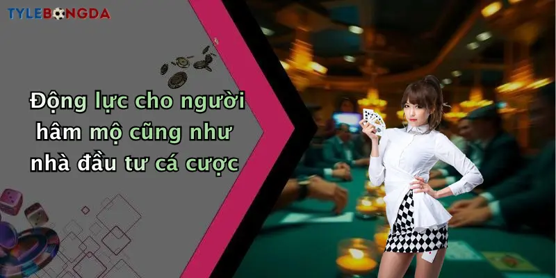 Động lực cho người hâm mộ cũng như nhà đầu tư cá cược