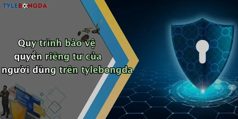 Quy trình bảo vệ quyền riêng tư của người dùng trên tylebongda