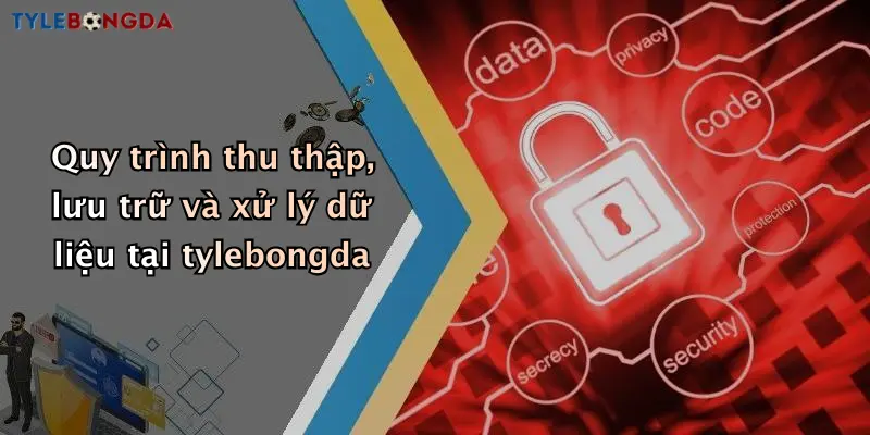 Quy trình thu thập, lưu trữ và xử lý dữ liệu tại tylebongda