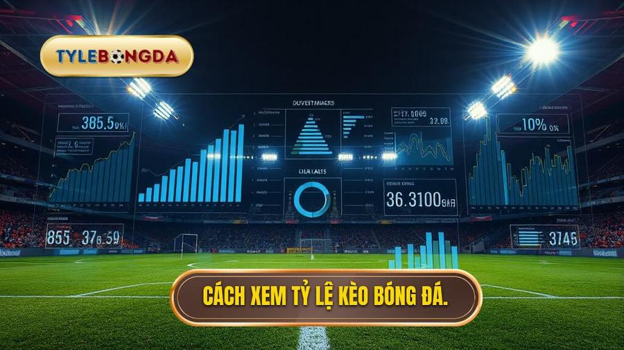 Hiểu rõ về tỷ lệ kèo tối nay trong cá cược bóng đá