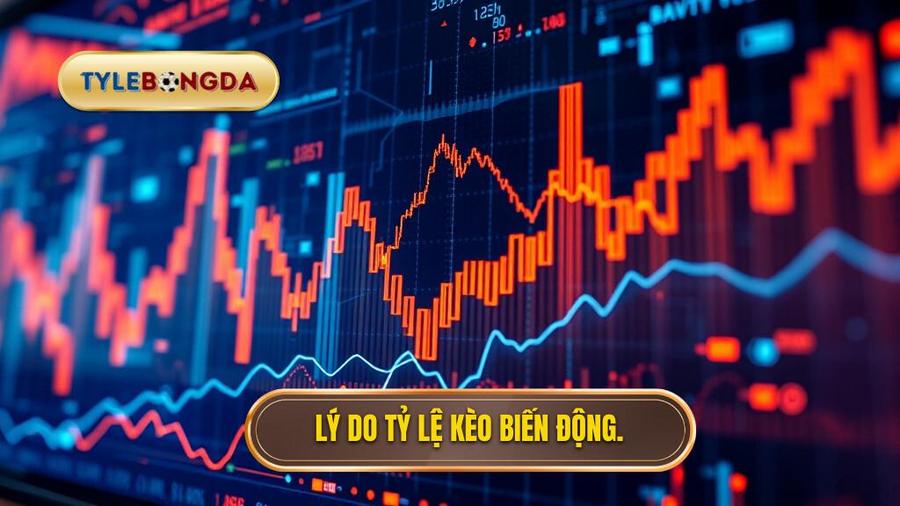 Tại sao tỷ lệ kèo lại biến động? Phân tích đa chiều