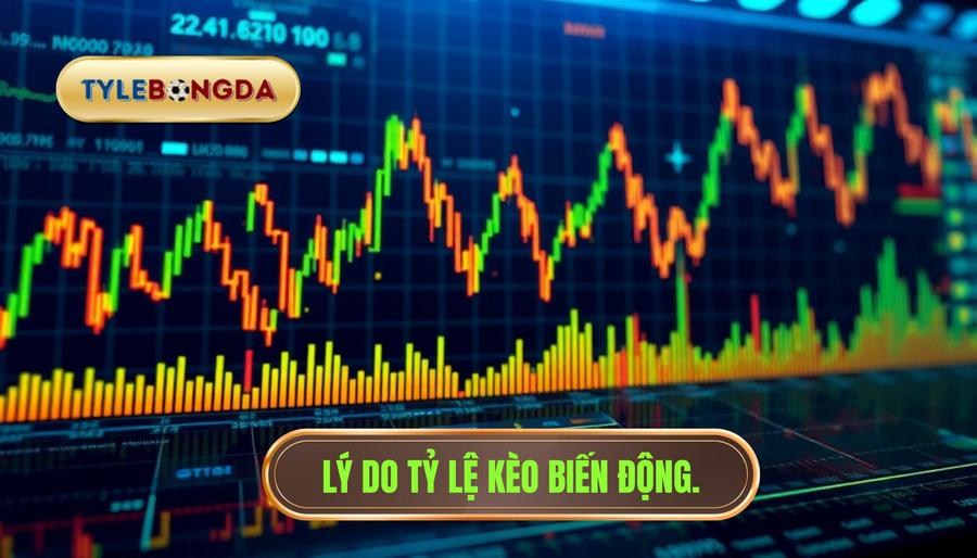 3. Lý do tỷ lệ kèo biến động.